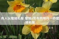 76复古传奇私服_sf999传奇私服发布网_友兰新区网